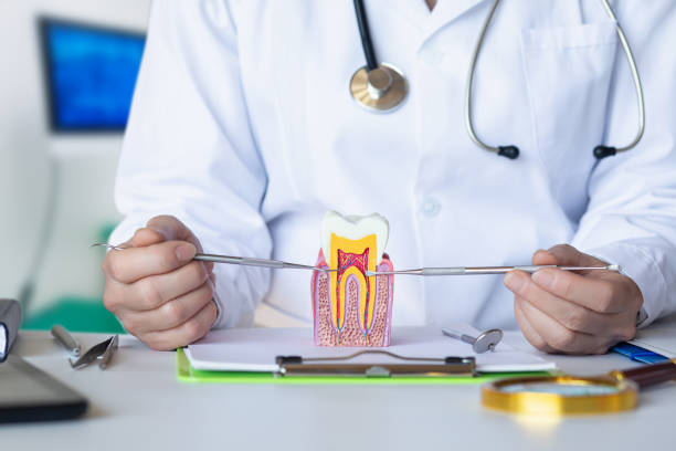 Best After-Hours Emergency Dentist in Plain City, OH